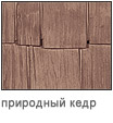 дранка кедр